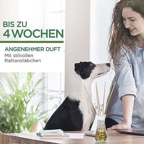 Air Wick Duftstäbchen – Raumduft Sommervergnügen – 1 x 30 ml Lufterfrischer für die Wohnung