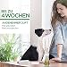 Air Wick Duftstäbchen – Raumduft Sommervergnügen – 1 x 30 ml Lufterfrischer für die Wohnung