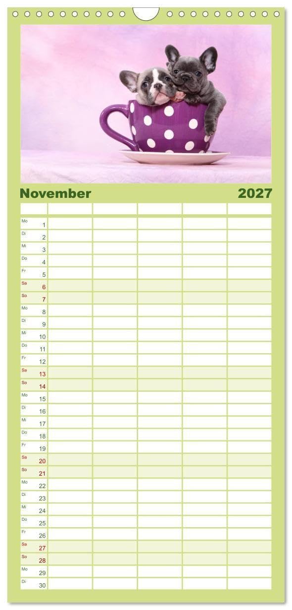 Familienplaner 2027 - Der Bully - Kalender Familienplaner hoch mit 5 Spalten (Wandkalender, 21 x 45 cm) CALVENDO: Geburtstagskalender für alle Bully-Fans