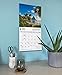 Carousel Worldwide, WWF Islands 2026 Large Wall Calendar