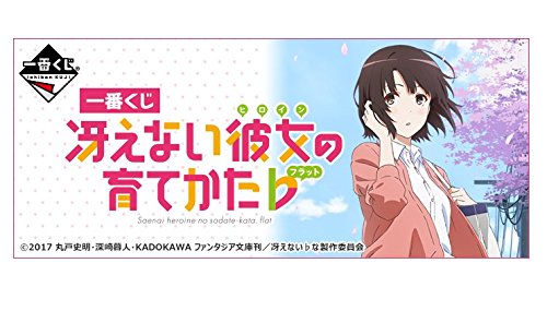 一番くじ冴えない彼女の育てかた♭ a賞等身大パネル b賞ビジュアライズボード 一番くじ冴えない彼女の育てかた♭ a賞等身大パネル b賞ビジュア