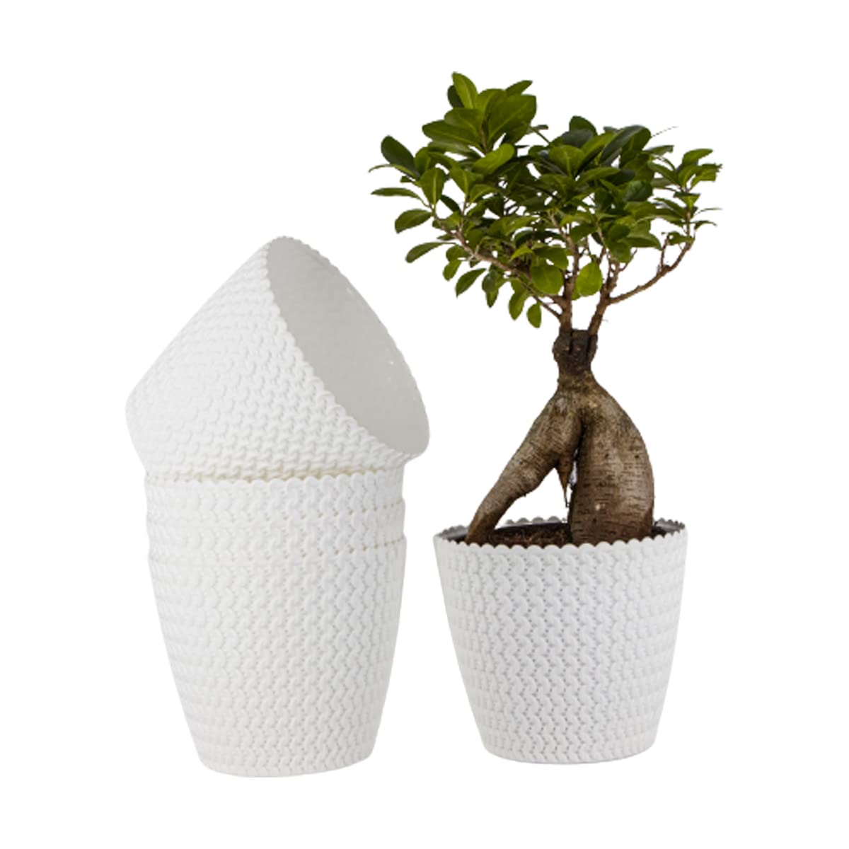 Garden Tales Poppy Pot Plastic Round Shape Flower Pots for Home, Office, Garden, Terrace Planters| 7 Inch(17.78cm) | Set of 5 | Suitable for Indoor and Outdoor Gardening Plants - Color: White (B0CPSB1RJV) Amazon Price History, Amazon Price Tracker
