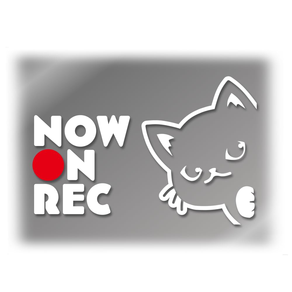 【たみ屋】窓枠から覗き込むひょっこり猫カッティングステッカードライブレコーダー搭載表示 耐候防水性日本製シール バイクカーステッカー (白色・●Rec)