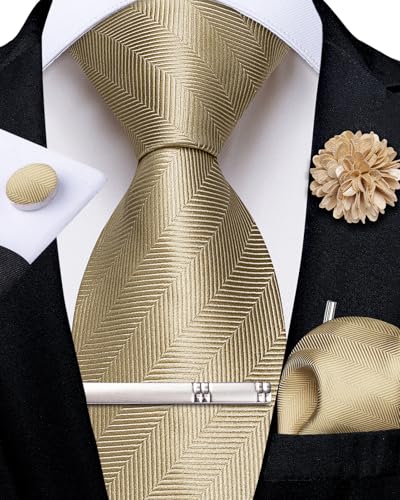 Image of DiBanGu Silk Zipper Ties for Men, Formal Pre-tied Necktie | Adjustable Tie,6PCS,Various Design Styles,Jacquard Woven,Skin-friendly,Practical Gift,Great for Wedding Party,Business Formal