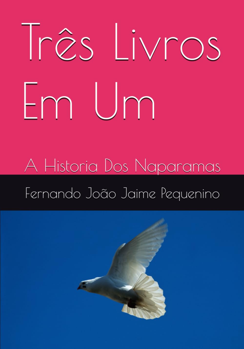 Três Livros Em Um: A Historia Dos Naparamas