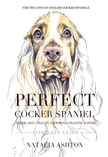 How to train a cocker spaniel How to train a cocker spaniel