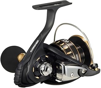 DAIWA Spinning Reel 23BG SW 4000-18000 Various (2023 Model)