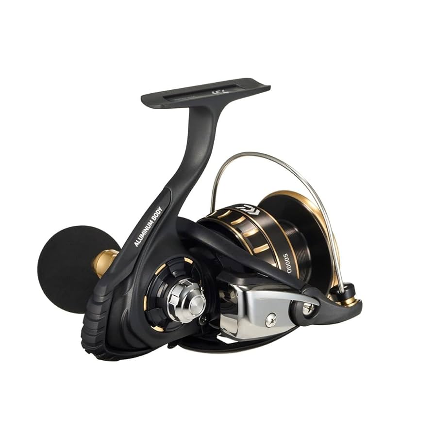 Daiwa BGSW ５０００D-CＸＨ Daiwa Spinning Reel 23BG SW 5000D-CXH : Amazon.ca: Sports
