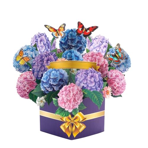 |bvAbvt[u[PJ[h 3DO[eBOJ[h 10C` g̉ĩy[p[t[u[PMtg ubNm[gJ[h&t aAALOAC 肪ƂAo^Cf[A̓(AWTC)