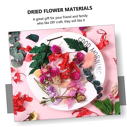 Materiales de flores secas prensadas para manualidades DIY miniatura 4
