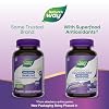 Nature's Way Sambucus Zero Sugar Elderberry Immune Gummies for Kids, Immune Support*, with Vitamin C, Zinc, Black Elderberry Extract, 70 Count (Packaging May Vary)