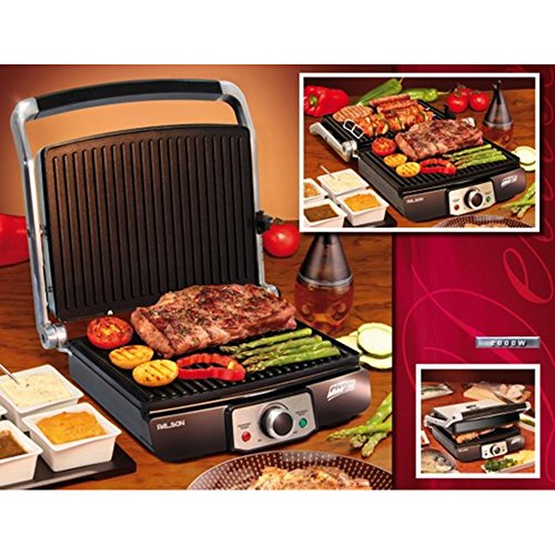 Preisvergleich Produktbild Palson Picknick Plus Grill System, Grau