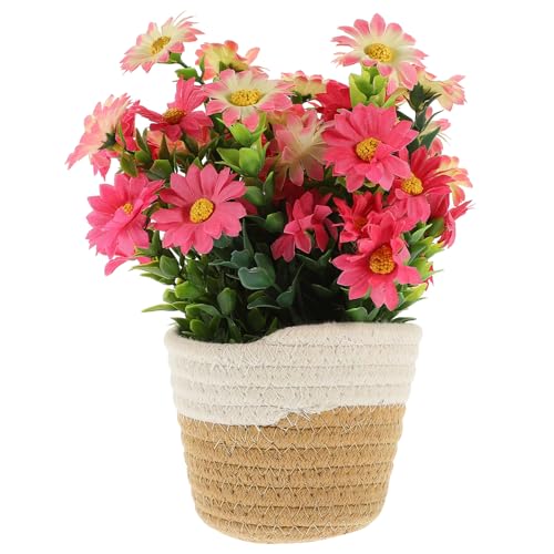 Homoyoyo lHA ҂݃oXPbgt tFCN~ CeA ̓v[g eiXsvŎRȔ 