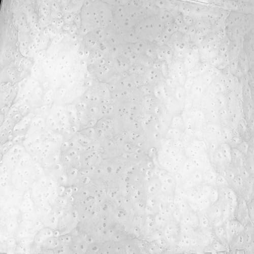 Miniatura 2 de Rust-Oleum 248072  Pintura en aerosol con efecto martillado para prevención del óxido, 12 oz (340 g), color blanco