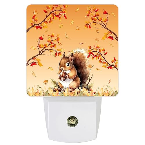Image of Night Light Plug in LED Night Lamp Automatic Sensor Kids Night Lights Plug into Wall, Thanksgiving Fall Autumn Squirrel Maple Leaves Fall Square Night-Lights for Bedroom Bathroom Kitchen Hallway Decor