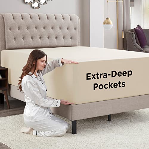 https://m.media-amazon.com/images/I/51ZEV4sWzaL.jpg