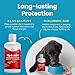 Paramount Pet Health Liquid Glucosamine for Dogs, 1600mg Glucosamine Chondroitin MSM, Hip & Joint Supplement for Dogs, Liquid Arthritis Relief & Mobility Support, 32 oz
