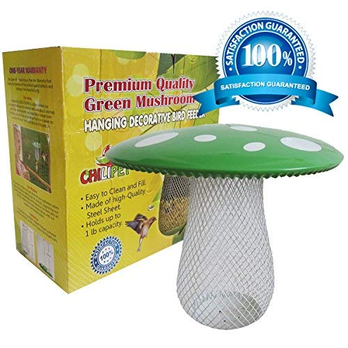 La migliore mangiatoia per uccelli selvatici. per