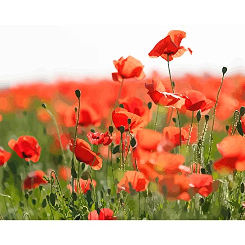 Broderie point de croix fleurs rouges strass complet anti stress maison