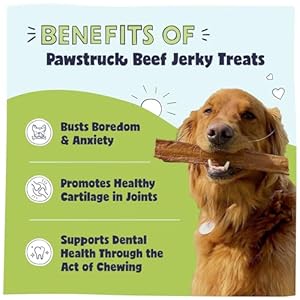 Pawstruck premium beef jerky canine deal with chews massive 10 strips  help hip  joint well being naturally wealthy in glucosamine  chondroitin  no added preservatives  15 depend  packaging might fluctuate   cucciolini doodles