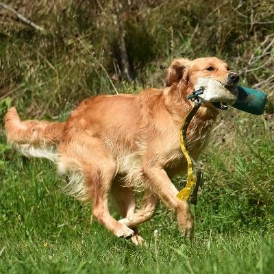 Romneys Longtail Marker Dummy | Standard Dummy 500g mit Zwei Flatterbändern | Zweifarbig | Weiß-Grü