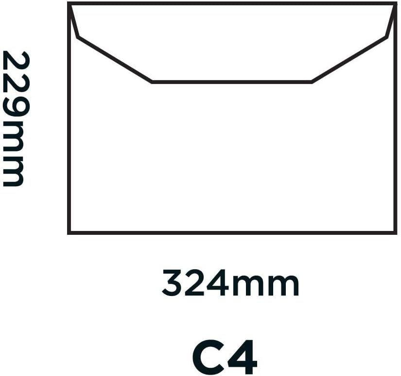 Blake Purely Everyday C4 229 x 324 mm 100 gsm Gummed Mailer Envelopes (2709) Manilla - Pack of 250