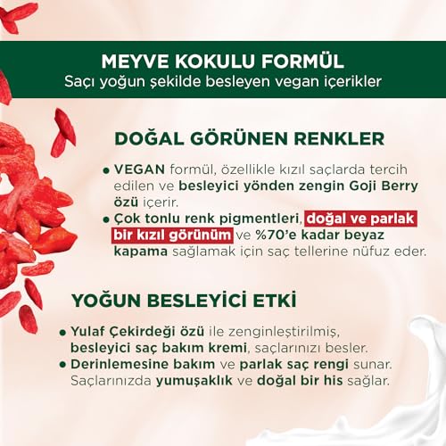Palette Kalıcı Doğal Renkler 3-68 Kızıl Çikolata Goji Berry Özü & Yulaf Çekirdeği Özlü Saç Boyası