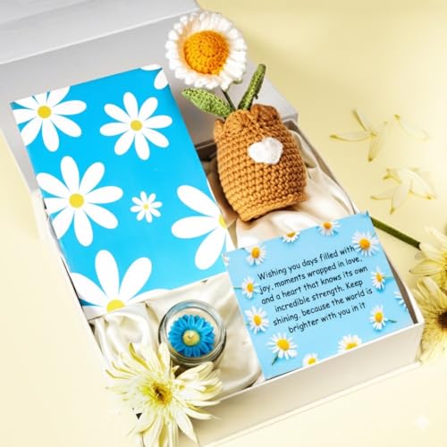 Image of Rarejoy Gift Combo for Men and Women - Luxury Handcrafted gift combo Includes Crochet Daisy Flower Pot & Daisy Diary - Perfect for Valentine, Anniversary, Birthday & Special Occasions
