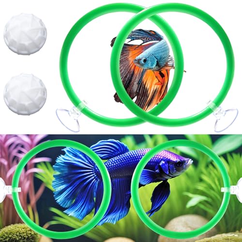 Betta Fish Toys - g[jOO4&oCItB^[{[2Ax[^GNTTCY[vgCƒ{[ZbgAx^tBbV^NANZT[tB[fBOO^^NpEH[^[RfBVi[