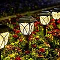 GIGALUMI Solar Lights Outdoor Waterproof, 2 Pack LED Solar Garden Lights, Solar Lights for Outside, Garden Decor for Yard, Patio, Landscape, Planter, Walkway (Warm White)