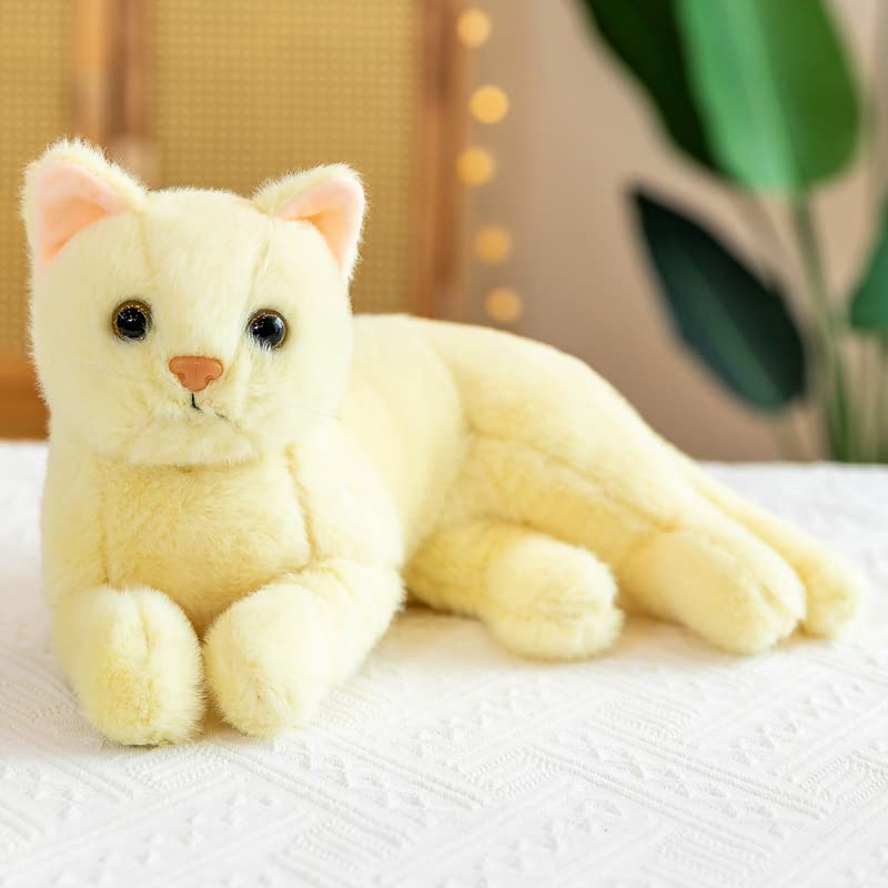 Amazon.com: XIGUI 12 inches Stuffed Animal Cat，Children's Plush