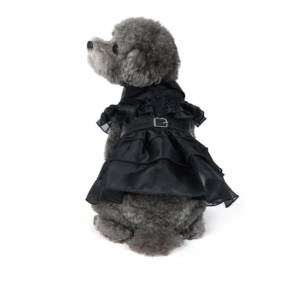 Amazon.com : Pet Dog Cat Black Dress Halloween Costume Cosplay Puppy Kitten  Coat with Belt Christmas Party : Pet Supplies