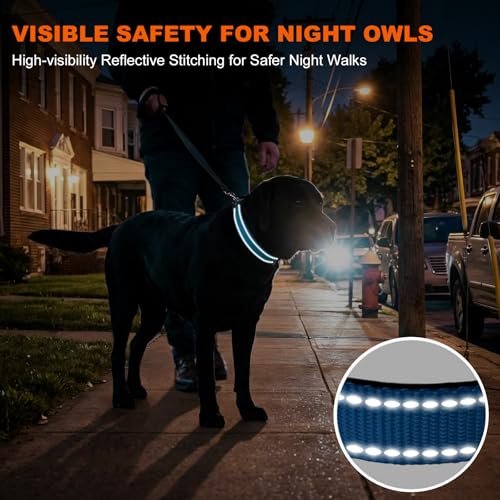 Image of Taglory Reflective Extra Large Dog Collar, Comfortable for Safe Night Walks