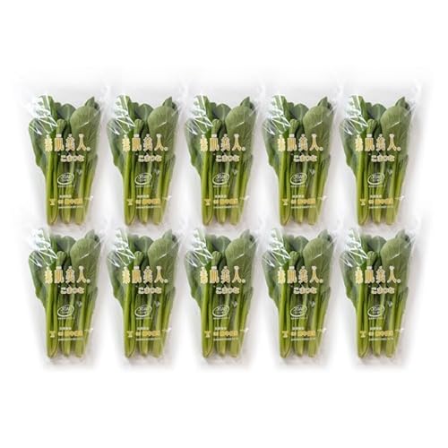 定期便 3回 小松菜 10束 野菜 こまつな やさい 冷蔵 葉物野菜 田中農園 長崎県 島原市 AI329 ふるさと納税
