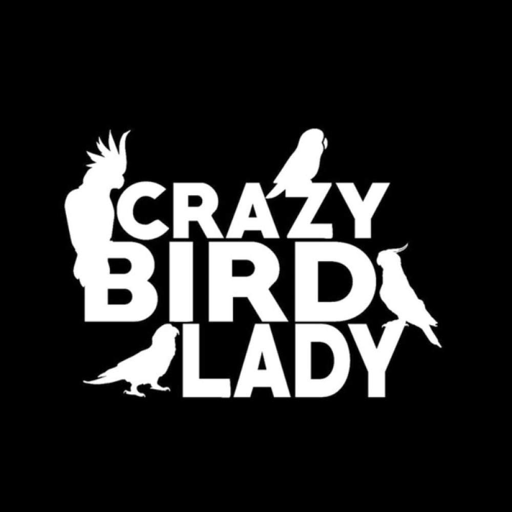 Toon Crazy Bird Lady PVC Car Wall Sticker 15.7 cm x 11.1 cm 4 Pieces