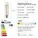 T10 LED Bulbs 2200K Warm White, 4W Amber Colored Tubular Edison Light Bulbs, E26 Medium Base,40 Watt Equivalent, Dimmable Tube Vintage Led Bulbs, LED Filament Bulb for Desk Lamp, Display Pendant Light
