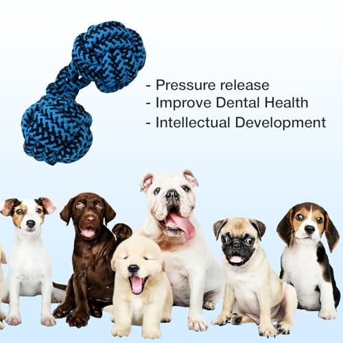 Image of Knotted Dumbbell Rope for Dogs and Pets |Durable Chew Cotton Knotted Dumbbell Shape Tug Rope Toy |Chewing and Teething for Dogs and Puppies Woven Rope Dog Toy, 23 cm (Blue)