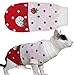PEXXSUII Pet Chat Pull Petit Chien Pull Chiot Chat Combinaison Manches Tricots Chauds Vêtements Motif Fraise Costume Hiver Vêtements Accessoires pour Chatons Petits Chiens Rouge (16#)