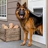 PetSafe Extreme Weather Energiezuinige aluminium huisdierdeur voor katten en honden, geïsoleerd klepsysteem, extra groot (XL)