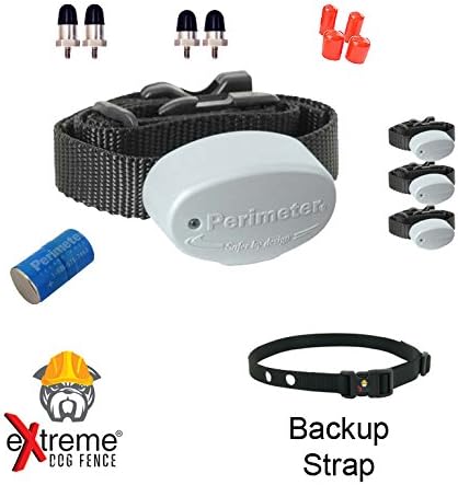 invisible fence receiver