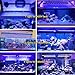 PopBloom H75 WiFi 2PCS Reef Marine LED Light for 180cm 6ft 72inch Saltwater Coral Reef Marine Aquarium Fish Tank, Full Spectrum Programmable 4 Channels, Sunrise Sunset, Lunar Cycle