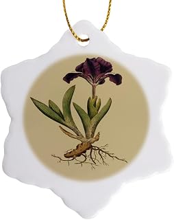3 inch Snowflake Porcelain Ornament - Print of Stigmata Petaliformia Plant from 1700 Vintage Botanical II
