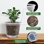 Clear Nursery Pots for Plants, 12 Pack 4/5/6 inch Transparent Plastic Plant Pots with Drainage Holes, Garden Pots for Plants Flowers with 12 Pack Trays and 15pcs Plant Labels