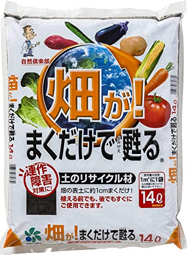 RpȊw ! ܂S 14Li1P[X4܃Zbgj