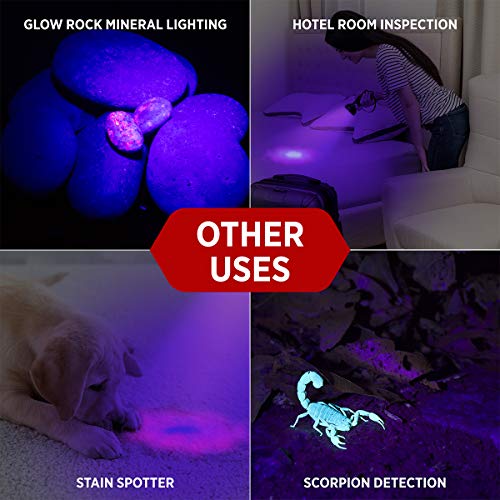 Gearlight Uv Flashlight Black Light From 68 Led Blacklight Flashlight Dog/Cat Pet Urine Detector, Scorpion, Bed Bug, Resin Curing, Dog Stain, And Carpet Odor Eliminator Remover, Id Checking _Xr68 #TOP5