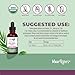 MaryRuth Organics Milk Thistle Seed Liquid Extract, 1 FZ