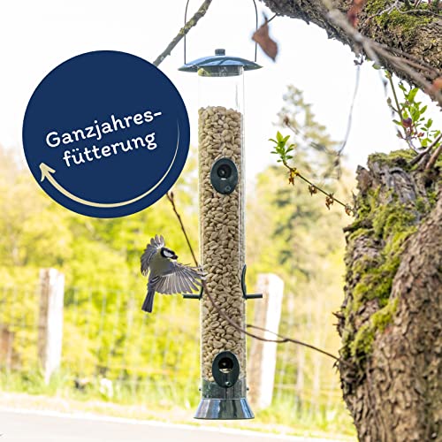 Lyra Pet® | 25 kg Erdnusskerne Splits | Wildvogelfutter Ganzjährig | Nährstoffreiches Streufutter | Energiespender für Alle Wildvögel | Erdnüsse ohne Schale | Vogelfutter für Sommer und Winter