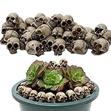 ☝[Exquisite Verarbeitung] Skeleton Head Mini hat eine schöne Version, exquisite Verarbeitung und keine Risse. Die Handwerkskunst ist sehr fein, Sie werden es lieben.