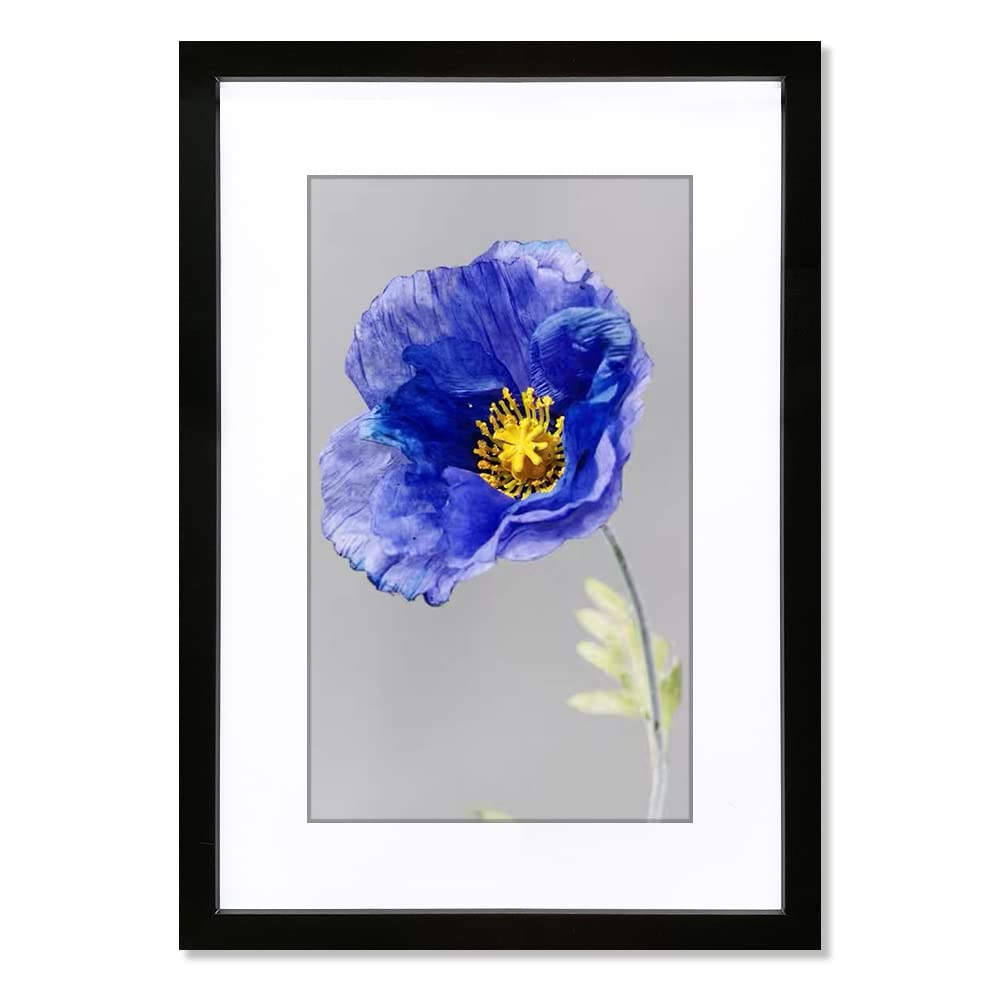 VNVNK 16x24 Frame Black, Perfect for 16x24 Inch Picture without Mat or 14x20 Inch Picture with Mat, Home Wall Decor Picture Frame-1 PCS
