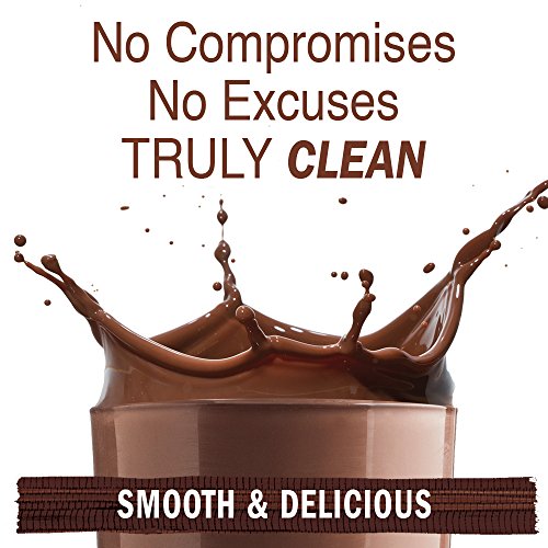 Image of Garden of Life Raw Organic Protein Chocolate Powder, 20 Servings, Certified Vegan, Gluten Free, Organic, Non-GMO, Plant Based Sugar Free Protein Shake with Probiotics & Enzymes, 4g BCAAs, 22g Protein